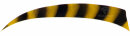 BP Feder 4" Shield RW, barred bar.gelb