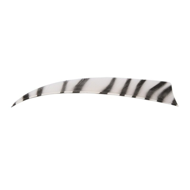 BP Feder 4" Shield zebra